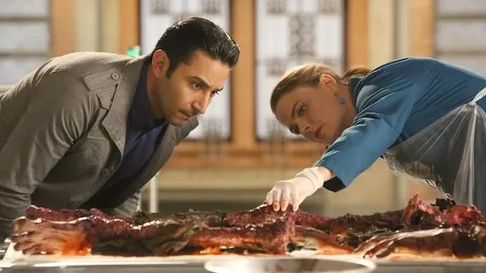 Image Bones 10