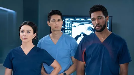 Image Anatomia de Grey 9