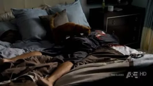 Image The Glades 5