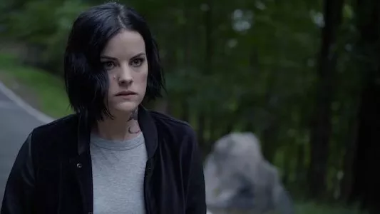 Image Blindspot 8