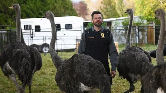 Image Animal Control 1