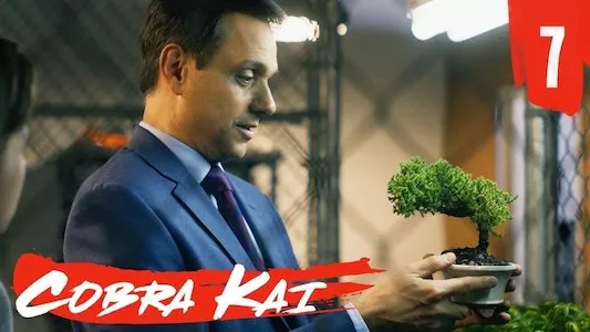 Image Cobra Kai 7