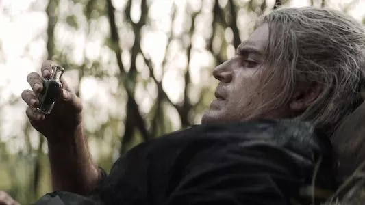 Image The Witcher 8