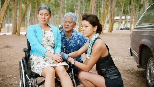 Image Hawai 5.0 23