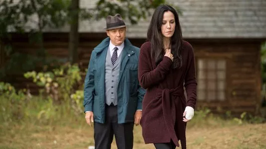 Image The Blacklist 4
