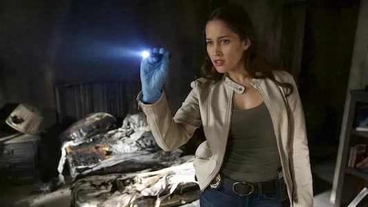 Image Rosewood 5