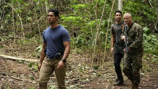 Image NCIS Hawaii 7
