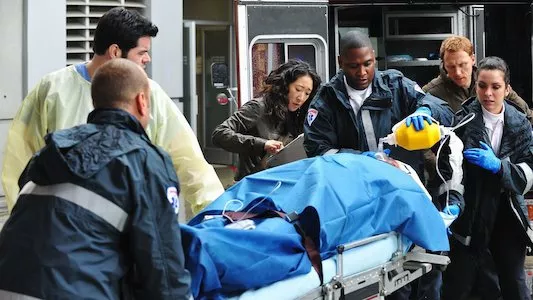 Image Anatomia de Grey 16
