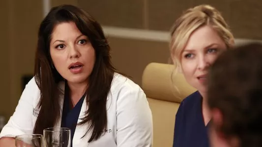 Image Anatomia de Grey 17