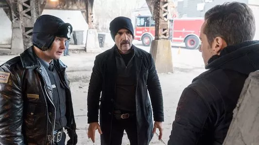 Image Chicago P.D. 17