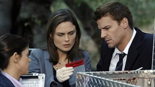 Image Bones 10