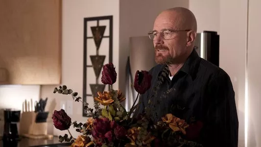 Image Breaking Bad 7