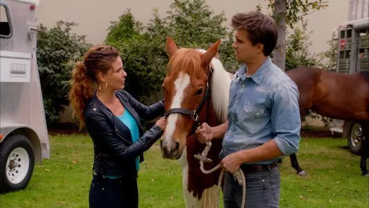 Image The Client List 9