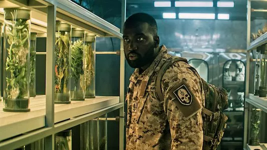 Image Invasion (2021) 2