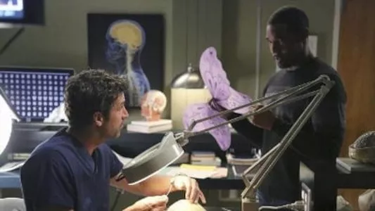Image Anatomia de Grey 7