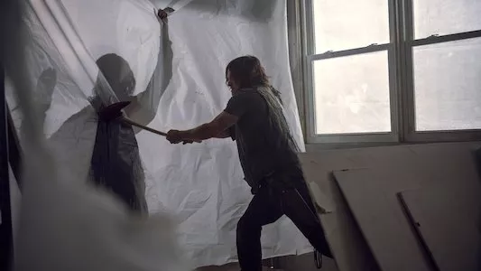 Image The Walking Dead 13