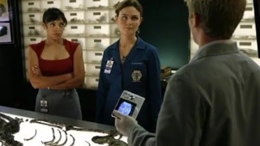 Image Bones 11