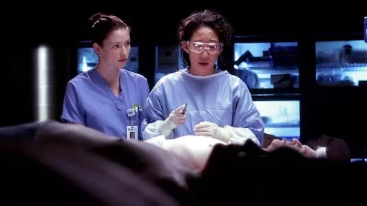 Image Anatomia de Grey 14