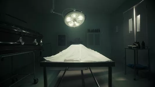 Image Debanhi: ¿Quién mató a nuestra hija? 2