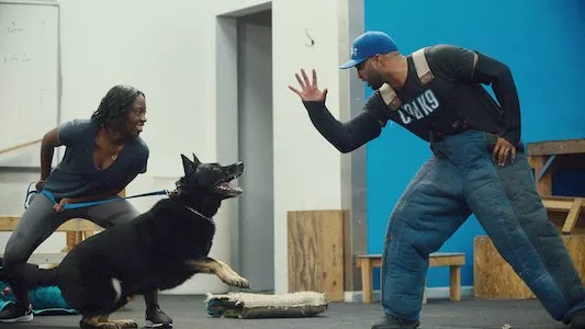 Image Canine Intervention 3