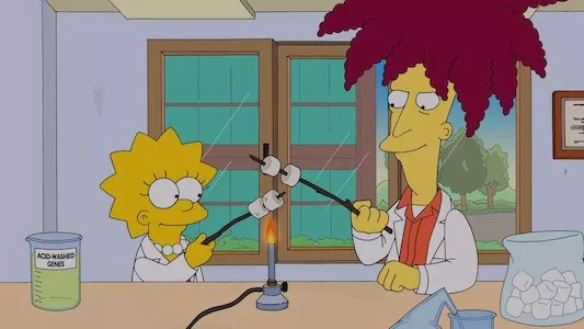 Image Los Simpsons 13