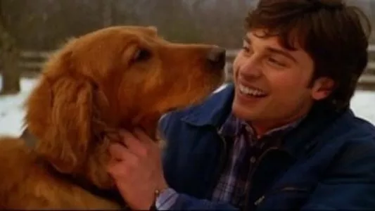 Image Smallville 14