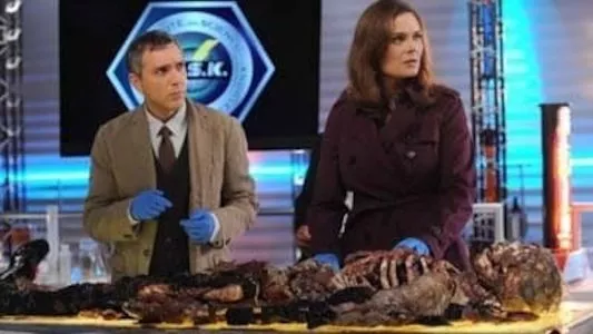 Image Bones 12